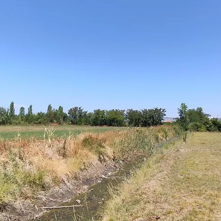 Field Stop Camp キャンプ場